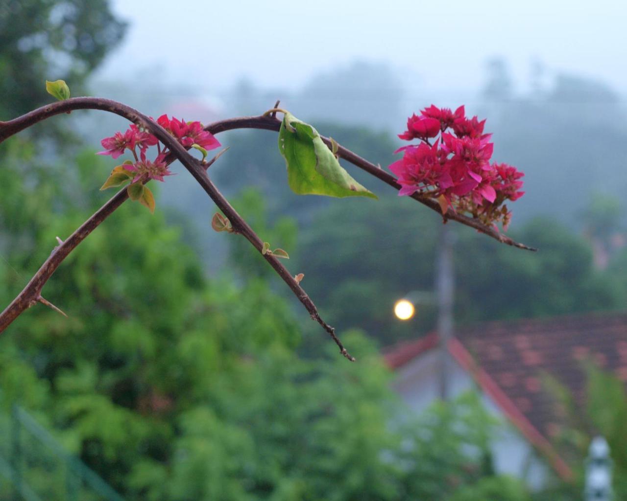 Namal Stay Weligama Exterior foto